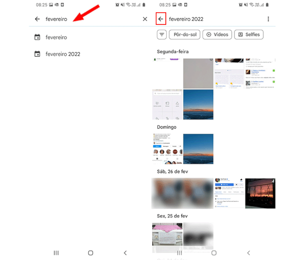 Busca pela data da foto na barra de pesquisa do Google Fotos — Foto: Reprodução/Marcela Franco