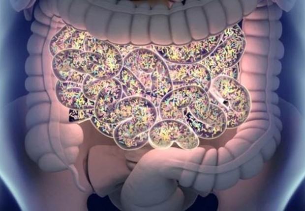 A microbiota intestinal é essencial para o funcionamento do nosso corpo (Foto: GETTY IMAGES via BBC Brasil)