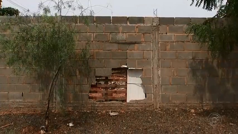 Motorista bateu carro em muro quando comeÃ§ou a ocorrÃªncia em Palestina â Foto: TV TEM/ReproduÃ§Ã£o
