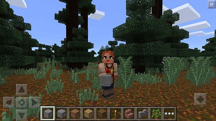 Teste suas skins de Minecraft Pocket Edition (Foto: Reprodução/Murilo Molina)