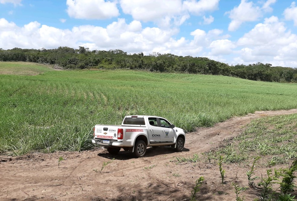 Opera&ccedil;&atilde;o do Idema e do MPRN identifica &aacute;rea degradada em Extremoz e Pedro Velho &mdash; Foto: Divulga&ccedil;&atilde;o