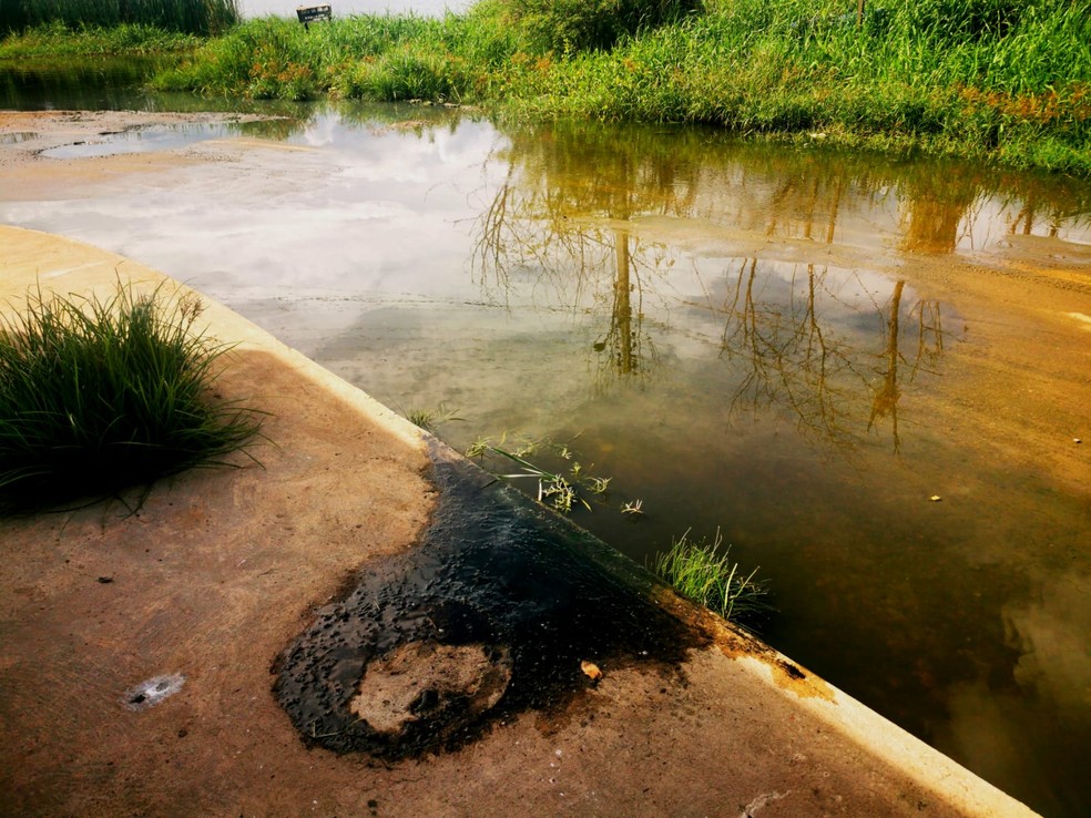 Após chuvas, bueiro transborda e esgoto polui lagoa em São Raimundo Nonato, no Piauí — Foto: André Pessoa/ Reprodução