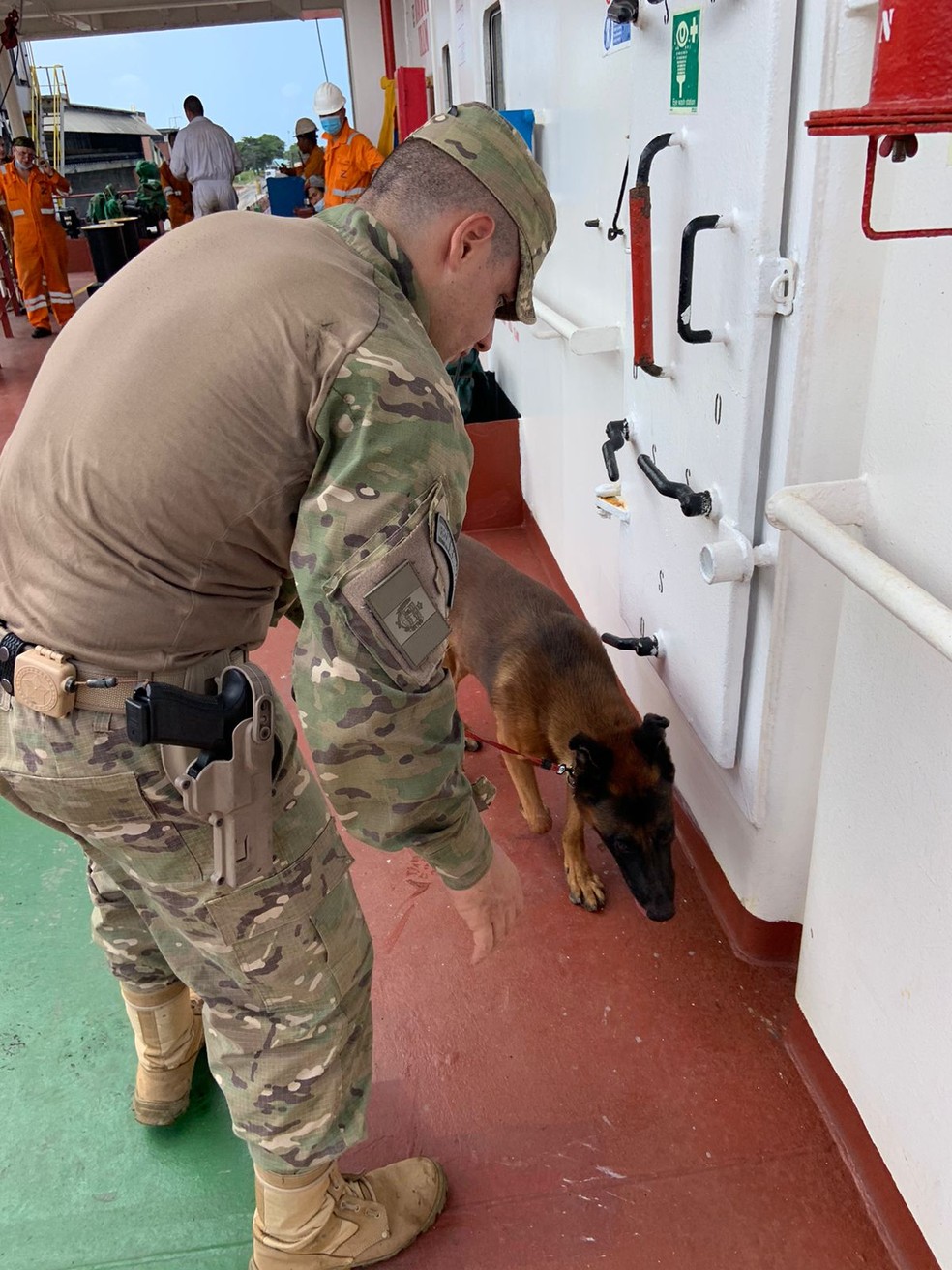 Cães farejadores fazem vistoria em navio suspeito atracado no Porto de Maceió — Foto: Ascom Cbmal