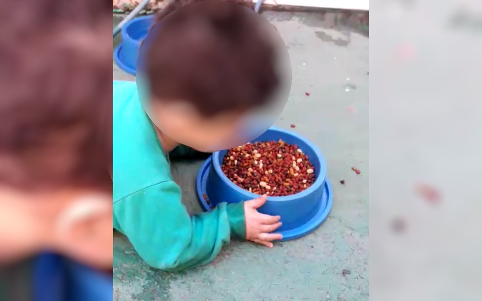 Menino Deficiente Filmado Comendo Racao De Cachorro Em Casa Volta A Morar Com A Mae Em Trindade Goias G1 Suicídio de mulher pulando do predio. menino deficiente filmado comendo racao