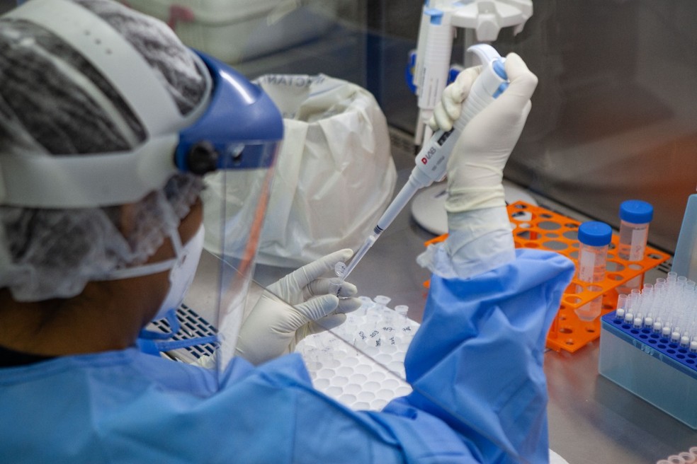 Baixada Santista soma 29 casos de variante delta da Covid-19, diz estado |  Mais Sa&uacute;de | G1