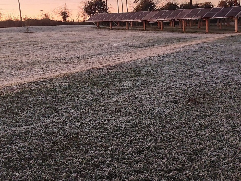 Geada em Ponta Porã nesta sexta-feira, 20 — Foto: Martim Andrada/TV Morena
