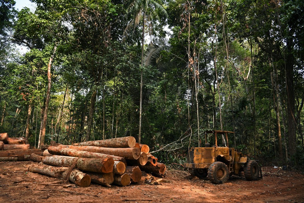 Desmatamento em área de Mato Grosso em agosto de 2021 — Foto: Carl de Souza/AFP