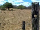 Na BA, agricultores prejudicados pela seca recebem ajuda do governo