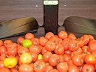 Preço do tomate sobe 93% e Vitória tem a 4ª cesta básica mais cara