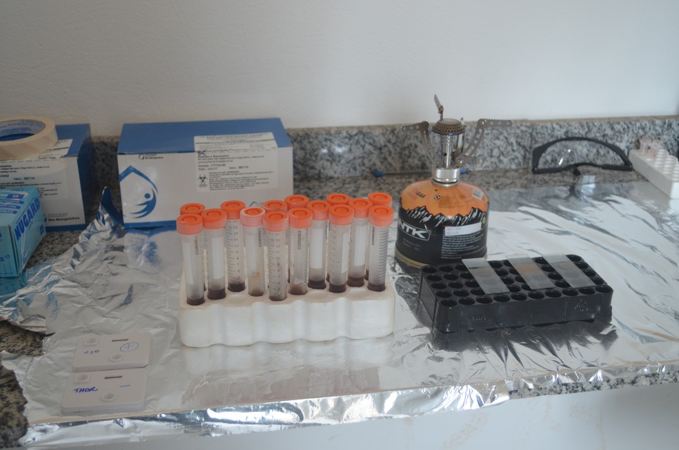 Testes para detecção de leishmanionse em Cacoal (Foto: Magda Oliveira/ G1)