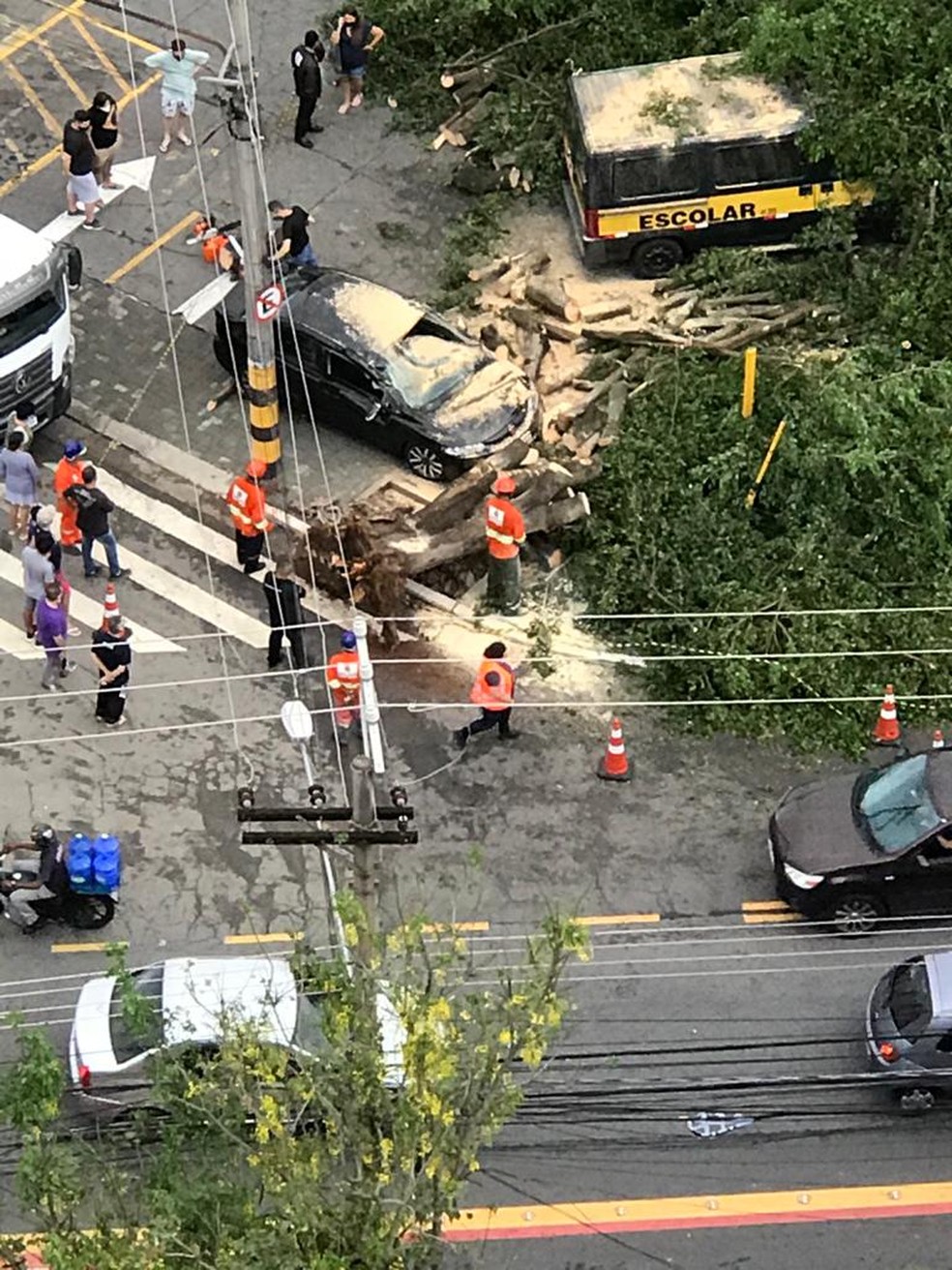 Árvore cai sobre carro no Ipiranga — Foto: Arquivo pessoal