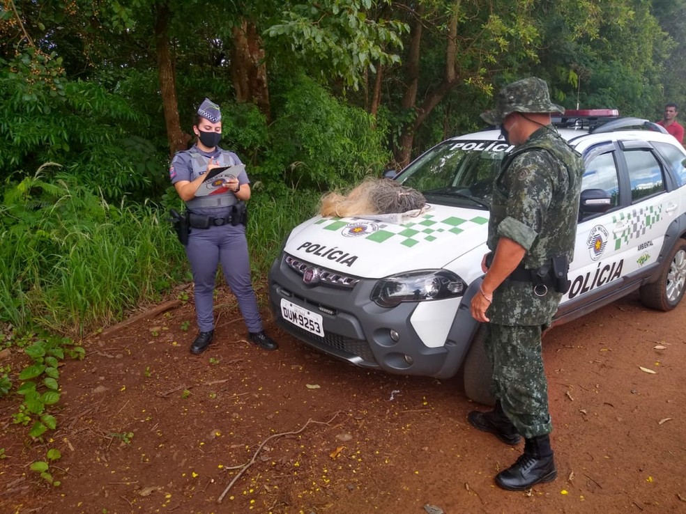 Homens receberam advertência por pesca proibida em Ourinhos — Foto: Polícia Ambiental/Divulgação