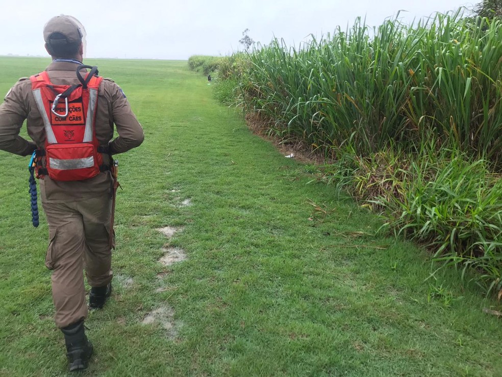 Buscar por buscas por Heitor Maciel dos Santos são feitas com ajuda de cão farejador em MT — Foto: Corpo de Bombeiros