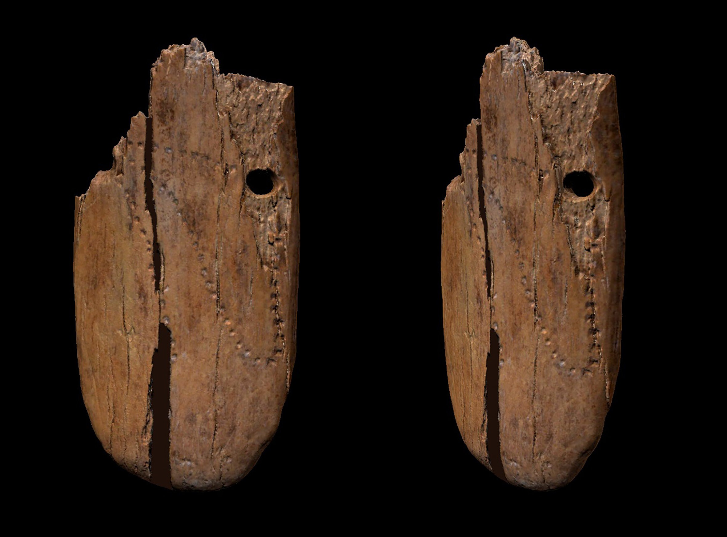 Pingente de 41,5 mil anos é uma das joias decoradas mais antigas já encontradas (Foto: Antonino Vazzana - BONES Lab)