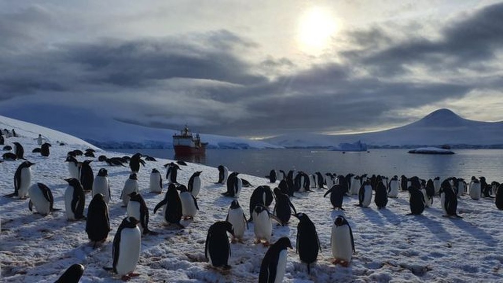 Como é passar o Natal na Antártica | Mundo | G1