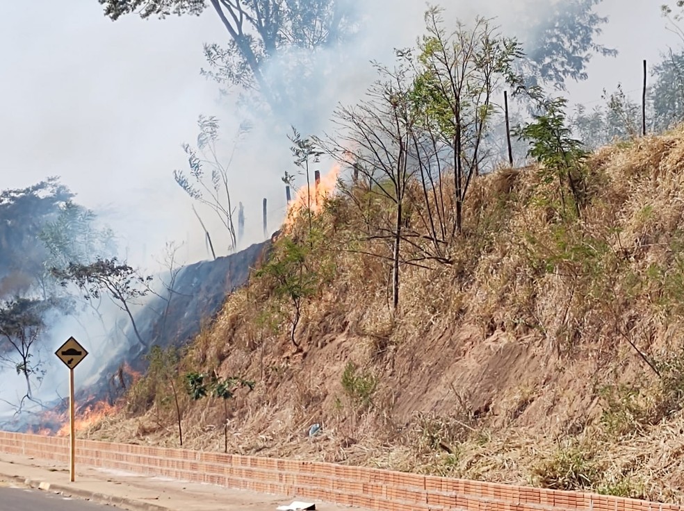 Incêndio chegou próximo às casas e assustou moradores do Residencial Moacyr Trentin, nesta quinta-feira (19) — Foto: Marcos Penteado Trentin