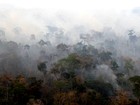 Outubro registrou maior índice de queimadas no Maranhão em 2015