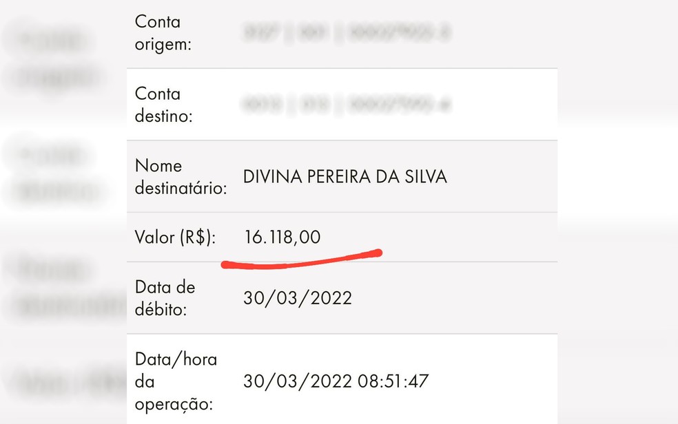 Diarista Divina Pereira da Silva, de Goiânia, Goiás, devolve mais de R$ 16 mil que recebeu por engano  — Foto: Arquivo pessoal/João Gabriel Cenadese