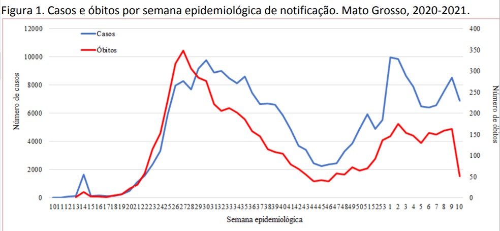 Casos e mortes por semana epidemiológica em MT — Foto: Reprodução/UFMT