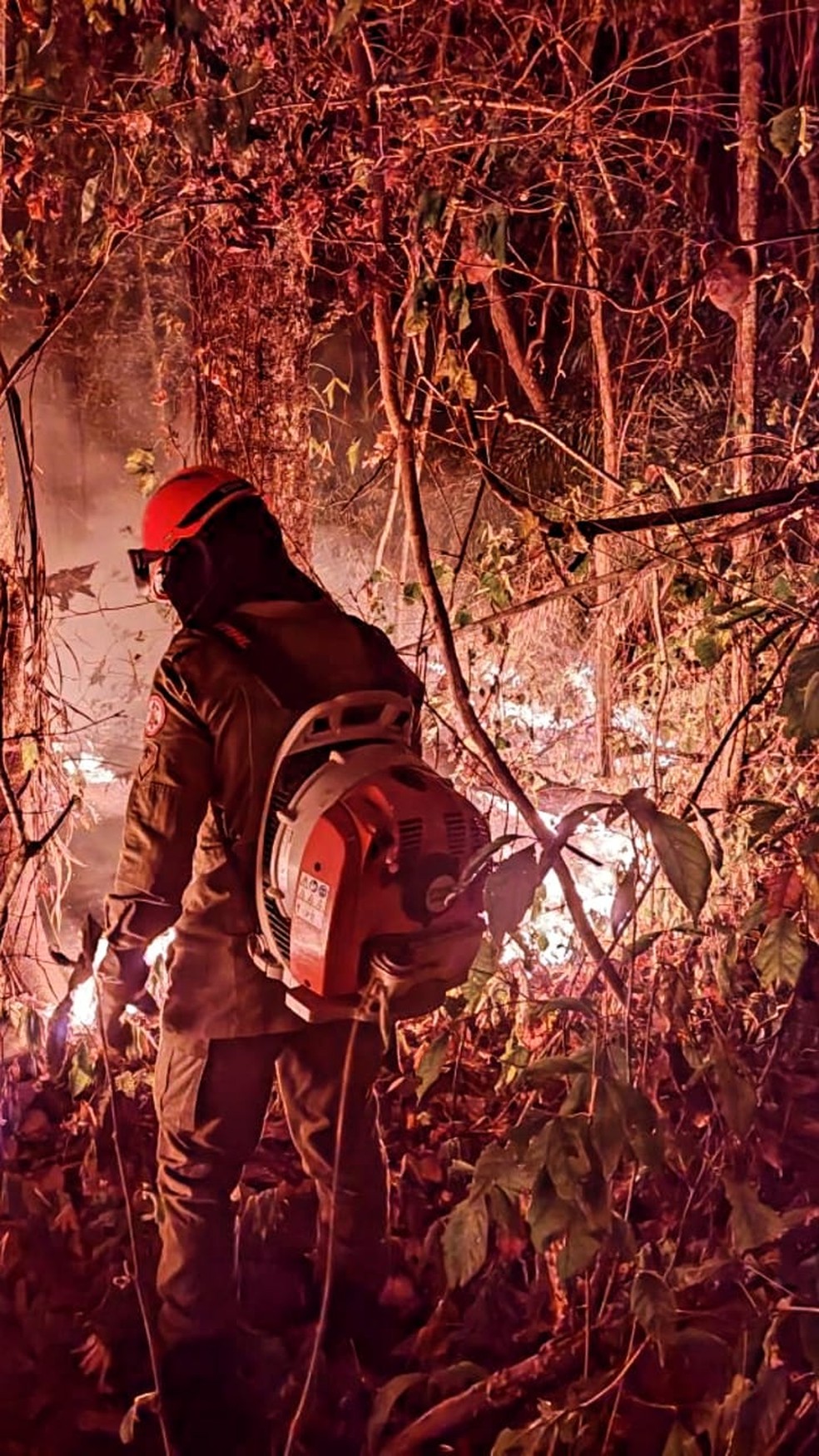 Bombeiros tentam controlar incêndio em Cáceres (MT) — Foto: Corpo de Bombeiros