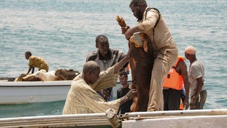 Ovelha é resgatada de naufrágio no Sudão — Foto: AFP