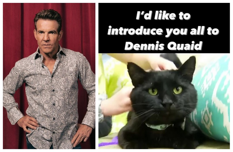 O post do ator Dennis Quaid apresentando ao mundo o gato Dennis Quaid (Foto: Instagram)