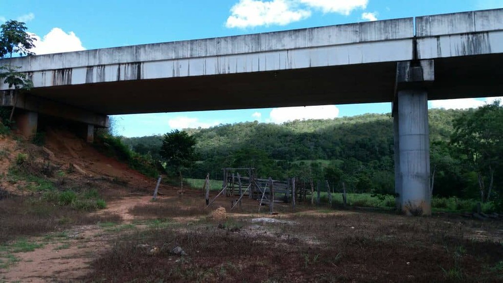 Agricultor construiu curral debaixo de ponte no Tocantins (Foto: Mazim Aguiar/TV Anhanguera)