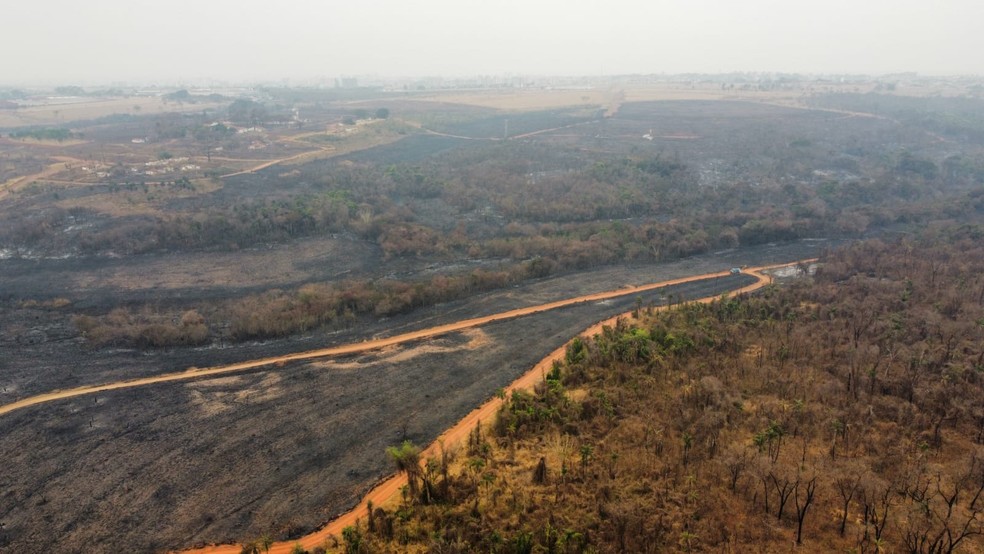 Imagens aéreas mostram dimensão de área do antigo IPA atingida por queimada em Rio Preto (SP) — Foto: Polícia Militar Ambiental/Divulgação
