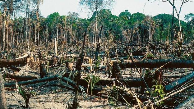 No Brasil, o desmatamento acelerou se levarmos em consideração as taxas dos últimos 18 ano (Foto: Getty Images)