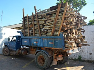 Caminhão foi apreendido no domingo (21) com mais de 15 metros de madeira (Foto: Aline Nascimento/G1)