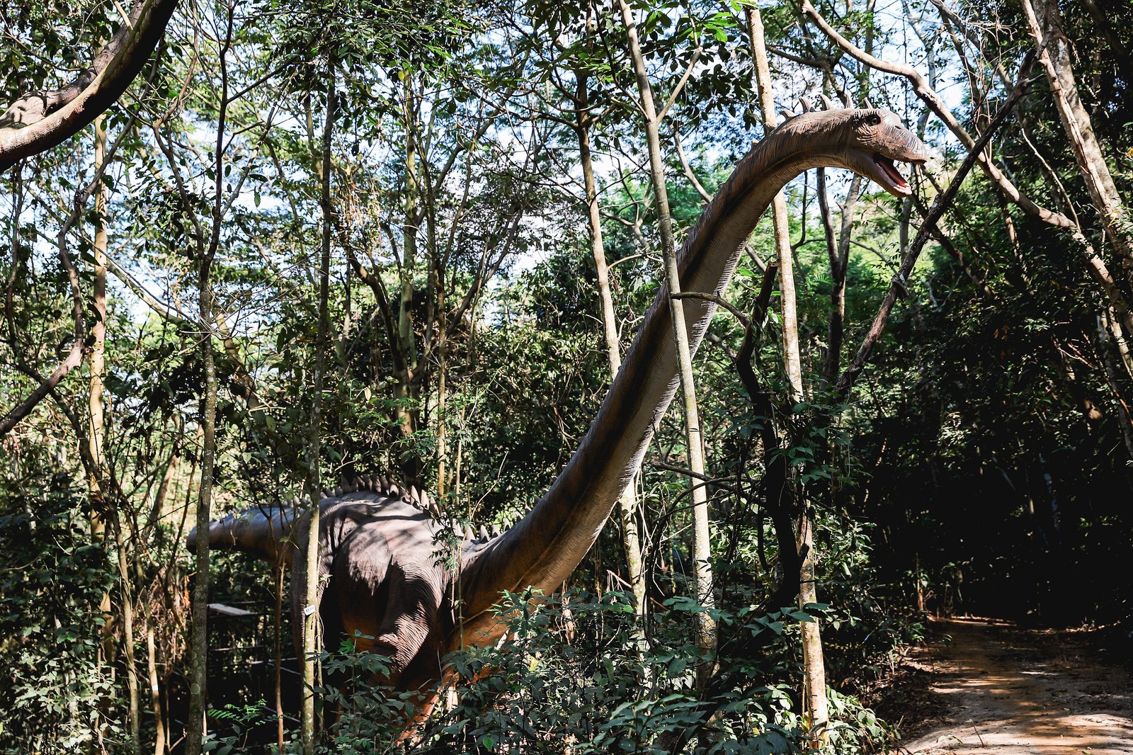 Parque dos dinossauros de Miguel Pereira abrirá as portas em outubro saiba mais detalhes da