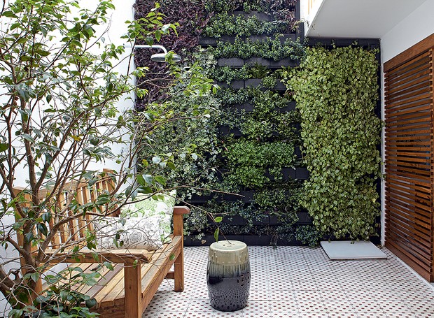 jardim-vertical-suspenso-paisagismo-chuveirão-arquiteta-daniela-ruiz- peperômias-lambaris-heras (Foto: Victor Affaro/Editora Globo)