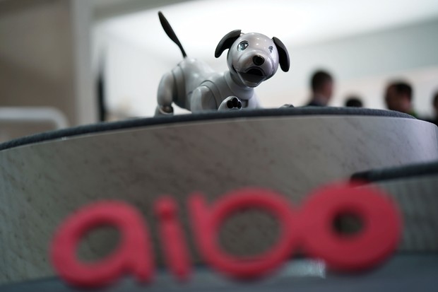 O Aibo, da Sony. Será que a moda dos cães mecânicos vinga dessa vez? (Foto: Alex Wong/Getty Images)
