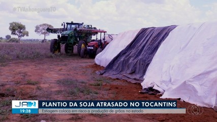 Pouca chuva atrasa cultivo da soja no Tocantins e pode afetar outras produções