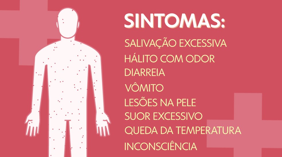 Veja quais os sintomas da intoxicação — Foto: Arte/TV Globo