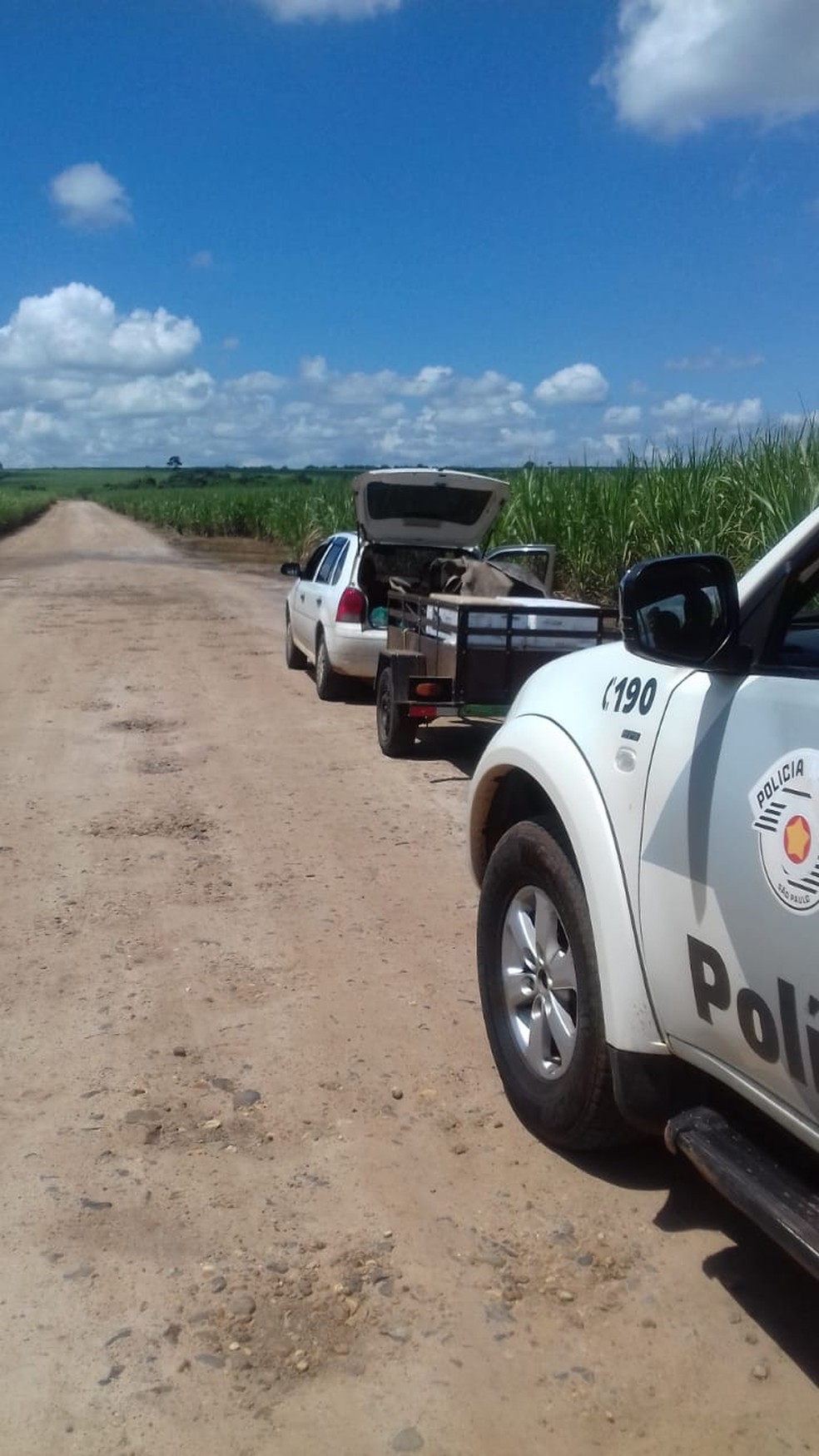Polícia Ambienta multa homens por transporte ilegal de peixes em Botucatu — Foto: Polícia Ambiental/Divulgação