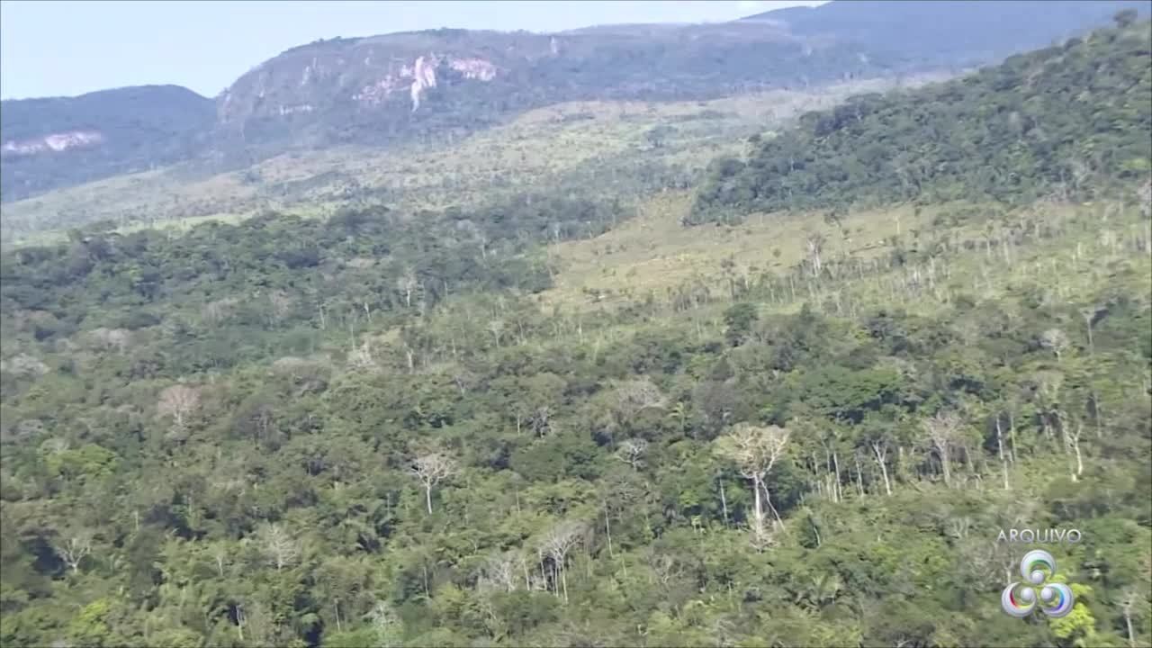 VÍDEOS: JRO2 de quarta-feira, 11 de janeiro de 2023