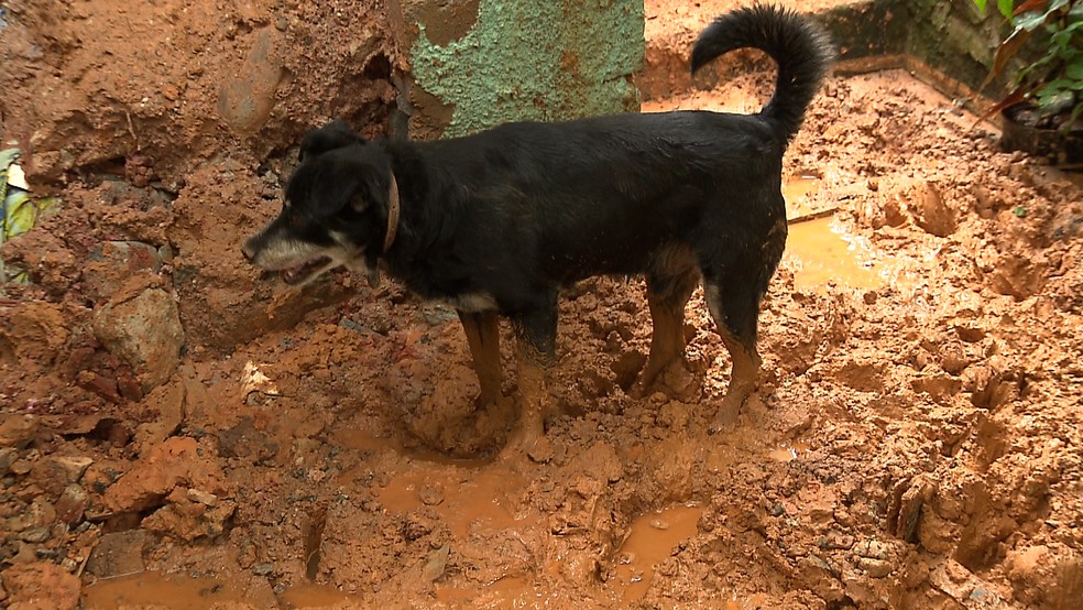 Cano de água estoura e destrói parte de casa na véspera de Natal em Araucária — Foto: Reprodução/RPC