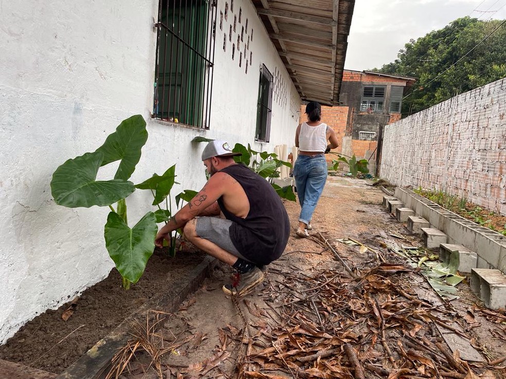 Caminho de escola comunitária no bairro Telégrafo em Belém ganhou plantas — Foto: Laboratório Cidade/Divulgação