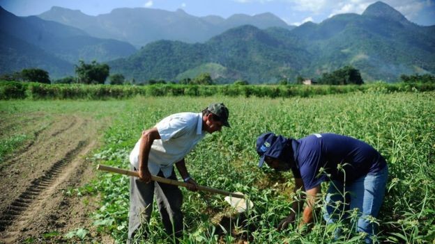 Hoje, trabalhador rural pode se aposentar aos 55 anos (mulheres) e 60 (homens) - mas deve também comprovar 15 anos de trabalho (Foto: TOMAZ SILVA/AGÊNCIA BRASIL via BBC News Brasil)