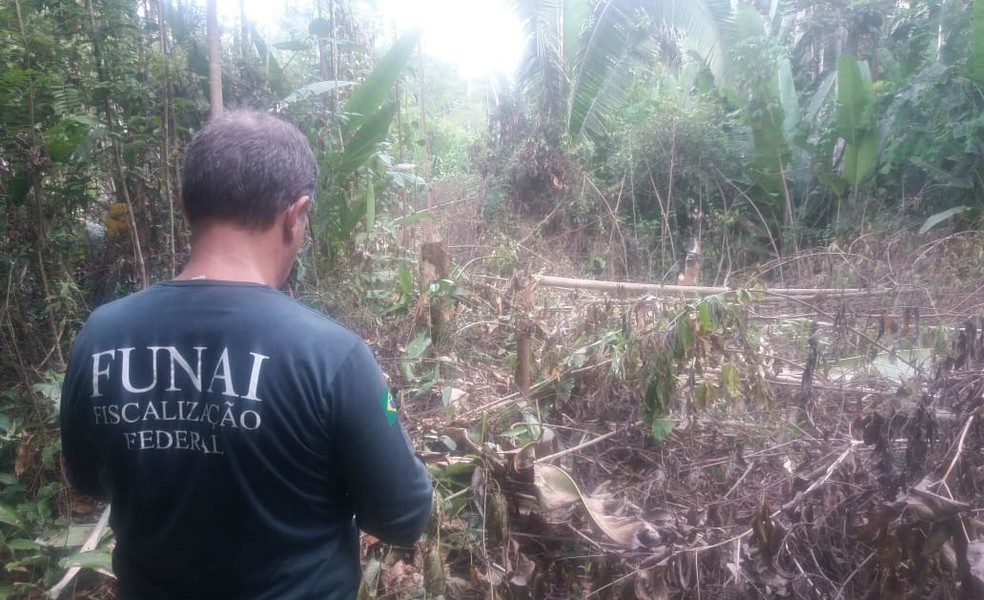 Operação contra invasões na Uru-Eu-Wau-Wau começou na última quinta-feira (24).  — Foto: Funai/Divulgação