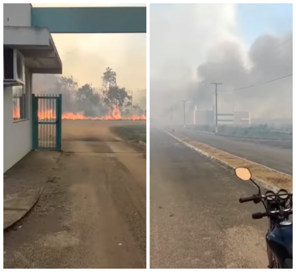 Incêndio atingiu área da UFT em Miracema do Tocantins — Foto: Reprodução