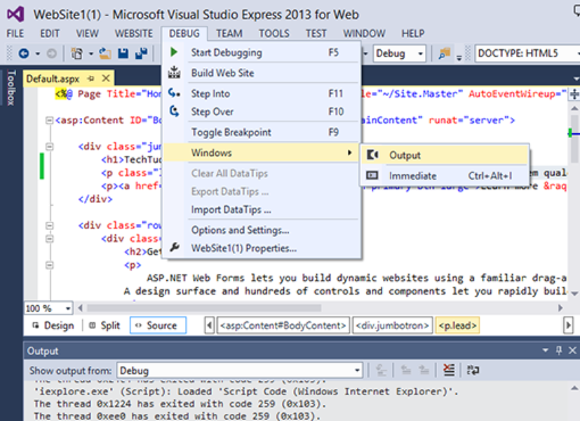 visual studio express