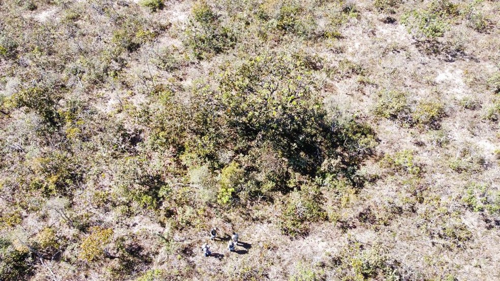 Local onde a arma usada no homicídio foi encontrada — Foto: Polícia Civil