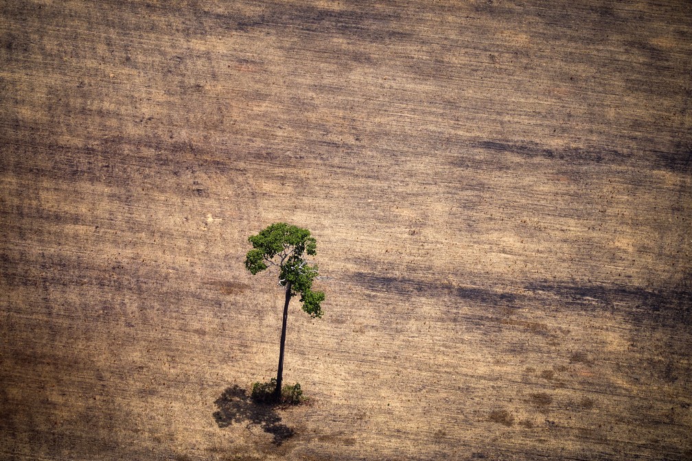 Imagem de área afetada pelo desmatamento na Amazônia — Foto: Raphael Alves/AFP/Arquivo