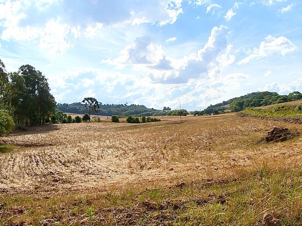 Agricultores, índios, terras, área, Sandaduva, RS (Foto: Reprodução/RBS TV)