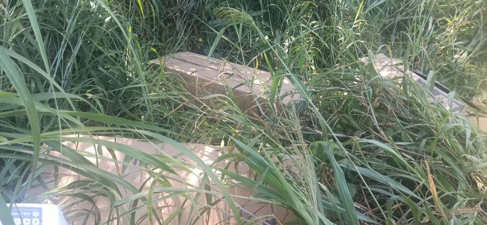 Alguns aparelhos furtados foram localizados em área de mata — Foto: Polícia Militar