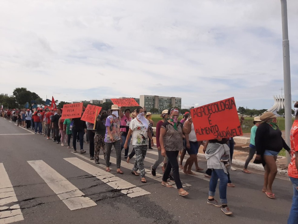 Mulheres marcham em ato contra liberação de registros de agrotóxicos no país — Foto: NIcole Angel/G1