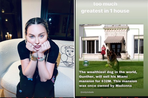 Madonna lamenta que mansão que já foi dela hoje é de um cachorro herdeiro (Foto: Reprodução/Instagram)