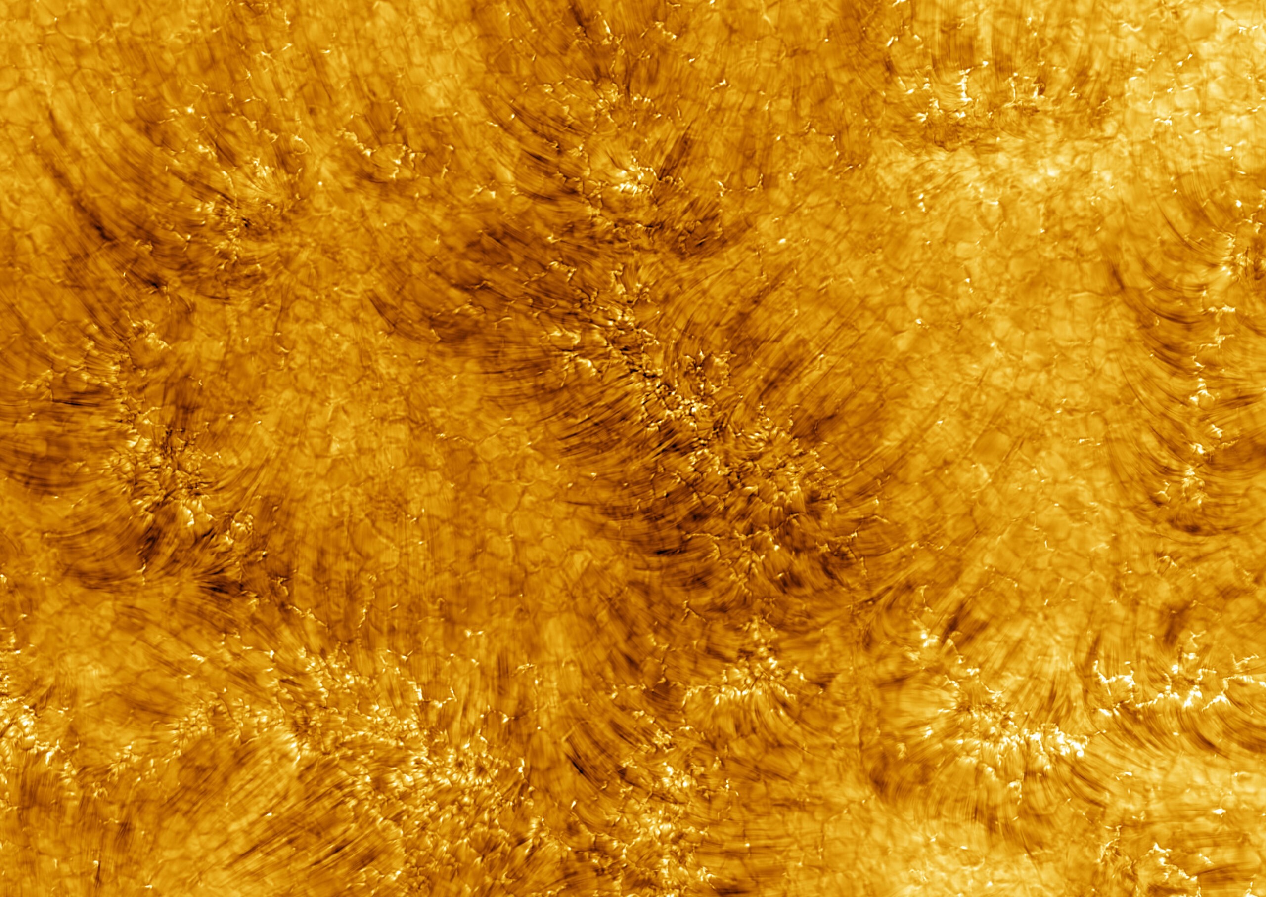 Imagens da cromosfera do Sol captadas pelo Telescópio Daniel Inouye (Foto: Divulgação/ NSF)